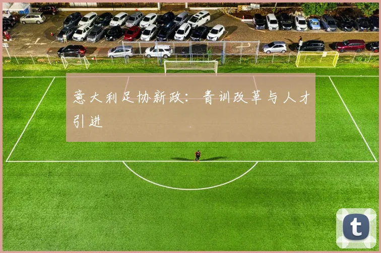 意大利足协新政：青训改革与人才引进