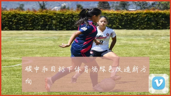 碳中和目标下体育场绿色改造新方向