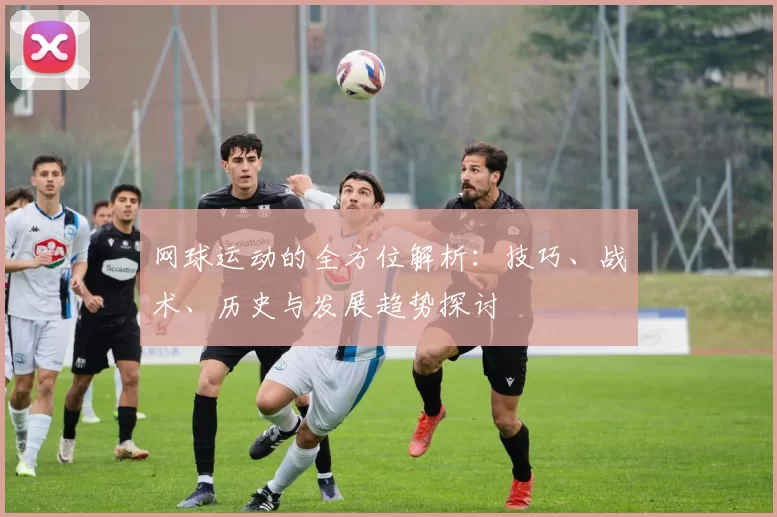 网球运动的全方位解析：技巧、战术、历史与发展趋势探讨