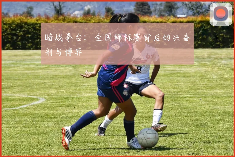暗战拳台：全国锦标赛背后的兴奋剂与博弈