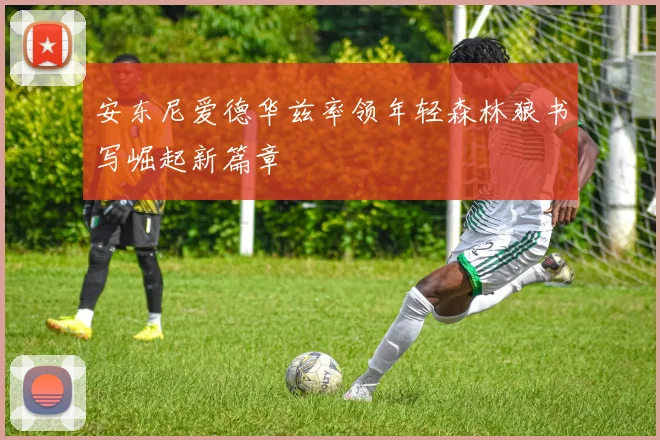 安东尼爱德华兹率领年轻森林狼书写崛起新篇章