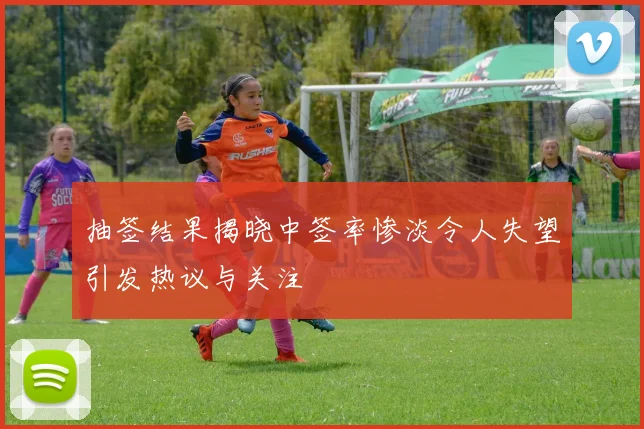 抽签结果揭晓中签率惨淡令人失望引发热议与关注