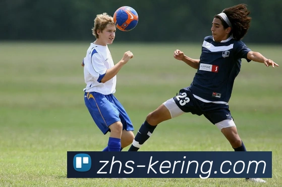 安东尼爱德华兹率领年轻森林狼书写崛起新篇章